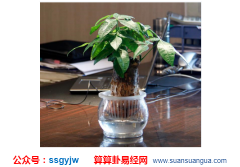 房子的风水_家中若有以下四大吉兆家宅人杰地灵（风水）