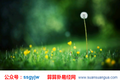 财运测算​_福泽浅薄易“失业”的男命(案例)