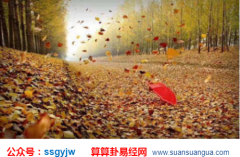 财运测算_财大泄身格局的人（八字）