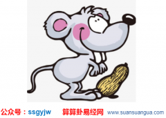 周易八卦_属鼠的优缺陷有什么？（算命）