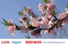 排八字算命_解析男人的财运和桃花运有何关系（命理）