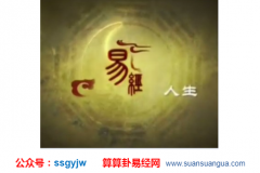 易经测算_八字喜木者的改运方法(改运)