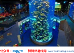 住宅风水_大师浅谈家中摆放这六种物品助你财运大开(风水)