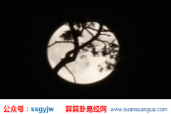 爱情算命_大师分析感情冲动会不计后果的人（感情）