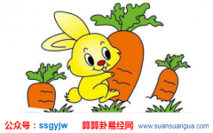 中国周易_属兔的人助运的方式（算命）