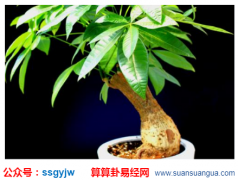 旺财风水_大师浅谈什么行为会在无形中破财败运（财运）