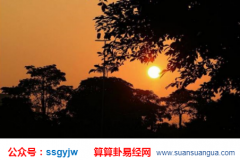 合八字算命_大师提醒年日双冲夫星带合者婚姻多有不顺（婚姻）