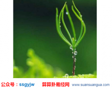 八字命理_大师利用财位催旺财运（财）