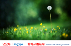 爱情算命_看感情道路曲折的女命八字 （感情）