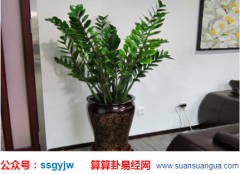 住宅风水_中如何摆放花瓶才能催运旺宅?(花瓶)