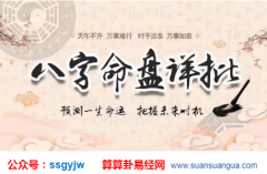 排八字算命_大师分析你用什么车牌会带来好运(车牌)