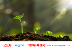 财运测算_七杀太重的人事业心强犯小人（案例）