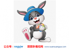 爱情算命_分析属兔女今年年底她情感方面会有怎样的运程（感情）