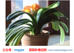 合八字算命_大师解说嫁的好的女人都有这些特点（八字）