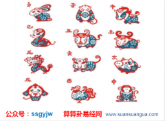 属相运程_大师浅谈鼠马相冲如何改善（算命）