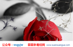 合八字算命_大师浅谈2022年会转运生肖领好运啊（婚缘财运）