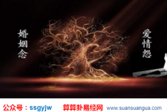 测姻缘_大师浅谈命中注定有好姻缘的八字（婚缘）