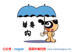 单身挺好 一个人更潇洒的生肖[婚姻测算]