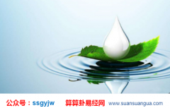 八字算命_分析八字之中五行水旺的人（八字）