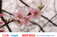 爱情算命_八字如何看待婚姻七年之痒？(八字)