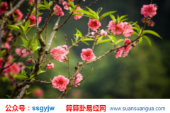 合八字算命_大师浅谈不利于婚姻稳定桃花（八字）