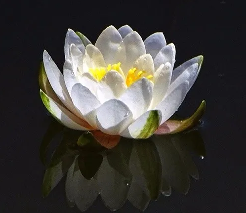 1603894933170577.png image.png