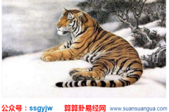 运势占卜_十二生肖人的吉祥物分别是什么？（吉祥物）