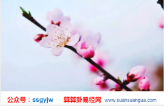 八字算命_有了桃花运发了大财的命理特征(桃花)