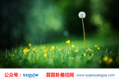 风水专家_大师解析在堪宅时如何根据生肖选择纳气（风水）