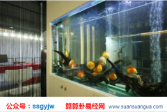 中国风水大师_解说门帘在家居风水中的作用（家居）