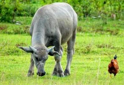 1604326319112226.png image.png