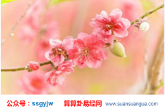 已婚女人走桃花运 家庭运势容易急速不稳定 善若吉命理