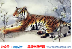 风水专家_提醒你的微信头像用对了么（财运）