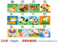 2020年10月30日需要注意的属相有哪些 算命在线