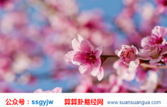 八字算婚姻_大师解析如何规避桃花中存在的风险（桃花）