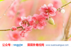 四柱算命学_分析哪些男人既旺桃花又旺财（桃花与旺财）