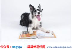 运势占卜_公元2020年11月12日星期四(运势)