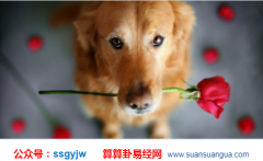 在线算卦_公元2020年11月13日星期五(运势)