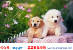 周易八字_算命大师提醒心理失衡比运势低落更可怕（命理）