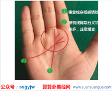 看手相算命_大师解析生命线和事业线都是断开对命主的影响（手相）