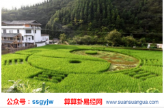 奇门求财法_浅谈休门生门伤门杜门象意（奇门相意）