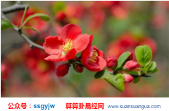 男人走桃花运破财吗 财运受影响较大 在线算命