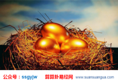 生辰八字查询_近十年不适合投资人的八字（财运）