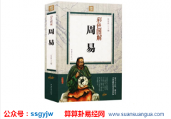 生辰八字分析_子寅亥酉四个时辰出生的女命（八字）