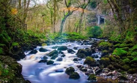 1606051675624003.png image.png