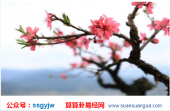 八字算婚姻_分析会与帅气的小男人恋爱或成家之人（婚姻）