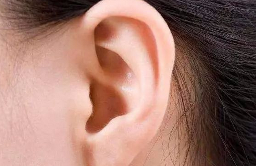 1606399493761920.png image.png