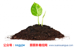 易经算命：八字五行缺土要如何看（图解）