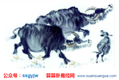 姻缘算命：生肖属牛人2021年桃花方位 定期清扫桃花位