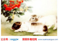 结婚择日：生肖属猪2021年婚嫁吉日 好日子结婚很友好